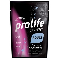 Exigent Adult Salmon,...