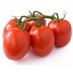 Pomodori Piccadilly